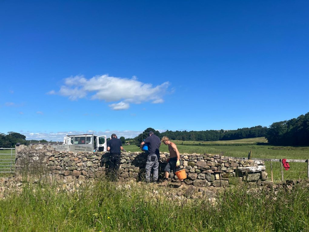 Dry Stone Walling: Old Skills, Lasting Work