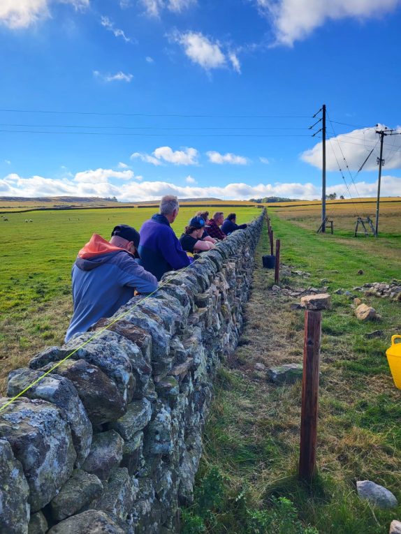 Seven Oswinners Qualify as Dry Stone Wallers